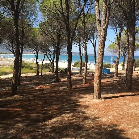 Casamare Annette Tatil Evi Budoni